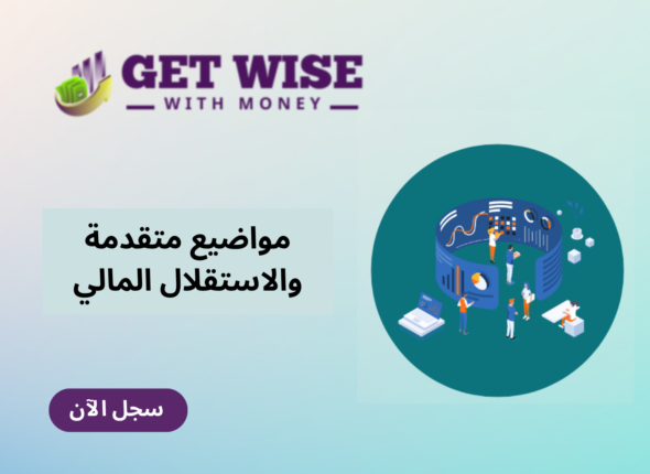 أساسيات الميزانية (25)